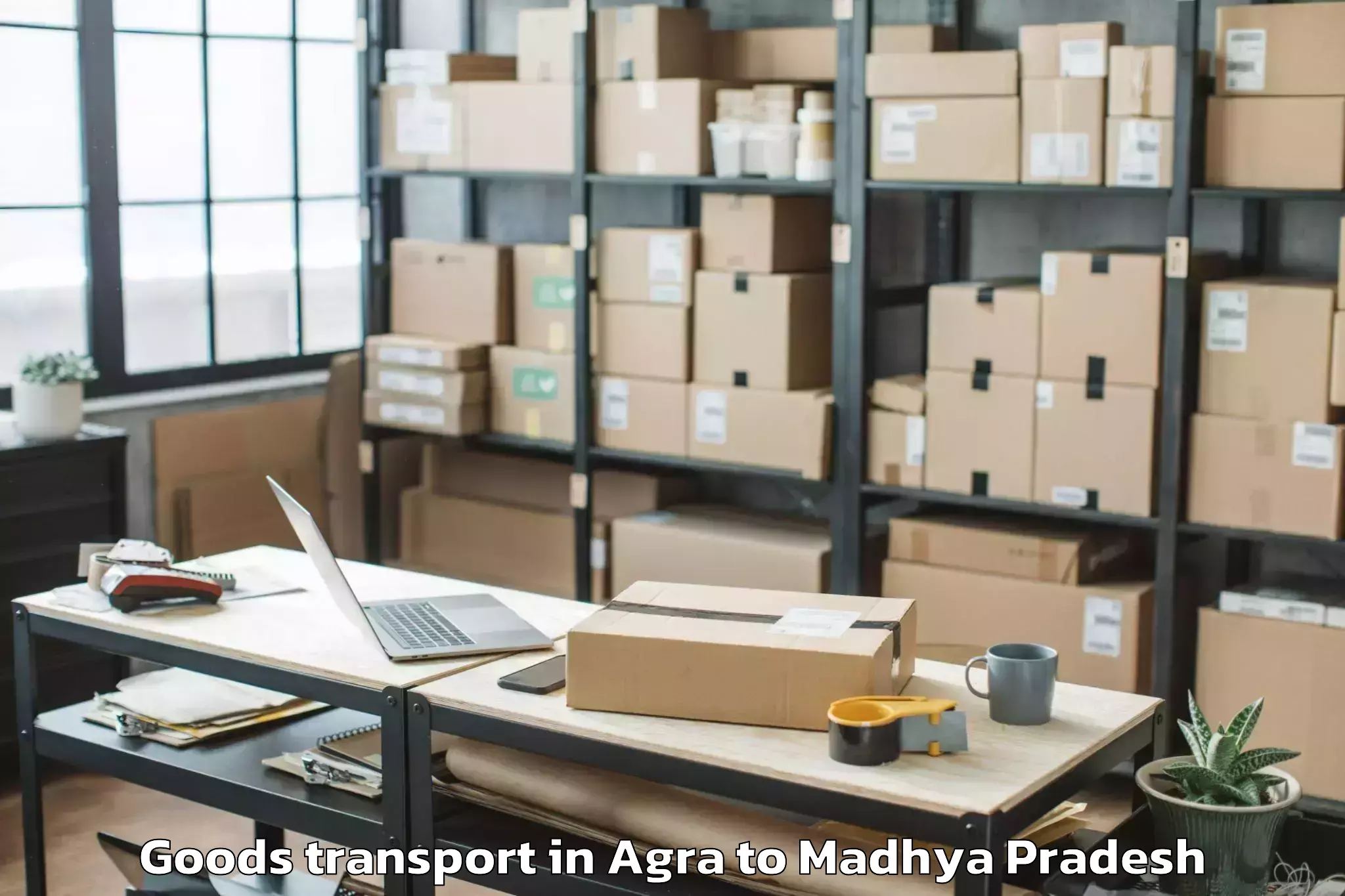 Get Agra to Raghogarh Vijaypur Goods Transport